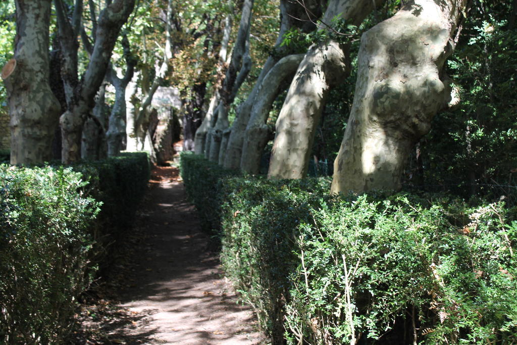L'Ecrin D'Osely Acomodação com café da manhã Lodève Exterior foto